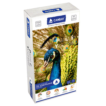 3D Peacock Paint it Yourself Kit